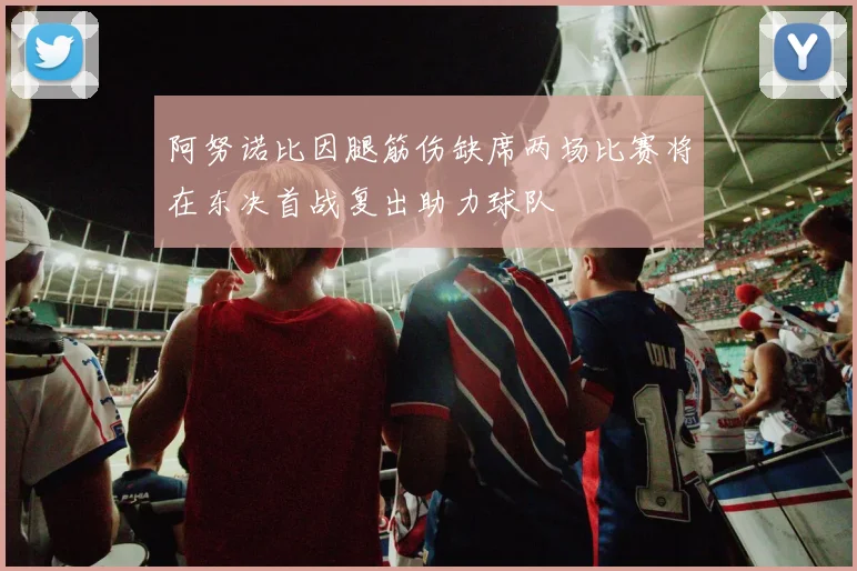 阿努诺比因腿筋伤缺席两场比赛将在东决首战复出助力球队